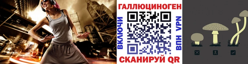 Галлюциногенные грибы прущие грибы  где можно купить   Урень 